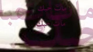 مات حبك وليد الشامي 