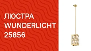 YouTube video preview rdXrvt9cp8Y