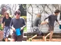 Taylor Swift Brother Austin Battle It Out In Easter Egg Hunt - April 5 2015