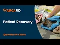 Anesthesia Patient Recovery