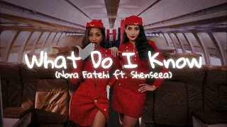 What Do I Know Just A Girl Nora Fatehi Ft Shenseea Lyrics 