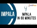 Introduction to Impala Impala Hadoop Tutorial Cloudera Impala Hive vs Impala Intellipaat