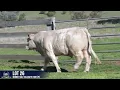 LOT 26 MINNIE VALE VALIDATE V38E P