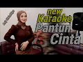 Download Lagu Pantun cinta Karaoke duet Lely naladhipa @lelynaladhipa