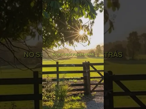 Leo Dan - Aires De Zamba, directo al corazón ❤️