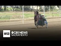 Cal Expo horse racing in Sacramento could be in jeopardy
