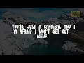 Neon Trees - Animal (Lyrics)
