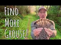 Download Lagu 5 Tips to Find MORE GROUSE! How to Grouse Hunt