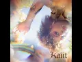 Miss Shiney - Kaiit