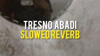 tresno abadi slowed reverb