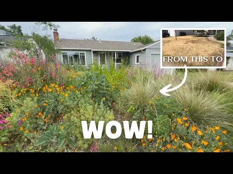 Download MP3 Before and AFTER! The Most Incredible Native Garden Tour Shows Us What Natives Can Do!