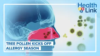 Allergy season kicks off with tree pollen influx HealthLink