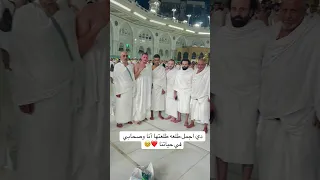 حرفيا  حرفيا