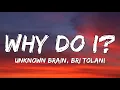 Download Lagu Unknown Brain - Why Do I? (Lyrics) ft. Bri Tolani