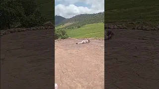 البنات لي باقى بلا زواج تمشي دركش في العقبة ديال هاد الوالي 