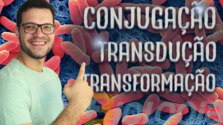 Conjugação, Transdução e Transformação - recombinação gênica e variação genética em Bactérias