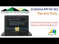 Call Stored Procedures in Dynamics SL Using Catalina s API and Postman