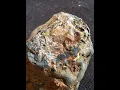 Kimberlite rocks with rough diamonds