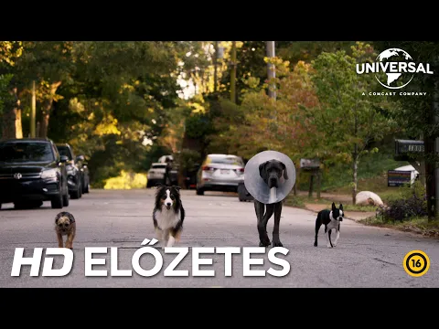 Kivert kutyák - magyar nyelvű előzetes