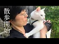Download Lagu My cat, who is always kept indoors, went outside for the first time in two years.