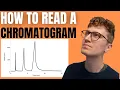 HOW TO READ A CHROMATOGRAM Step-By-Step Guide For Beginners