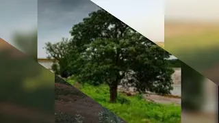 مصطفي سيد احمد طوريتك في الطين مرميا 