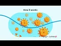 The Flu Shot Flu Shot Effectiveness and Flu Shot Safety Information