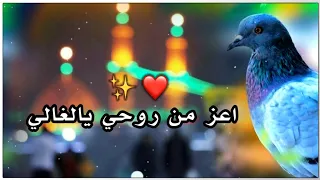 اجمل نغمة رنين حسينية باسم الكربلائي حالات واتس أب حسينية      دندنها