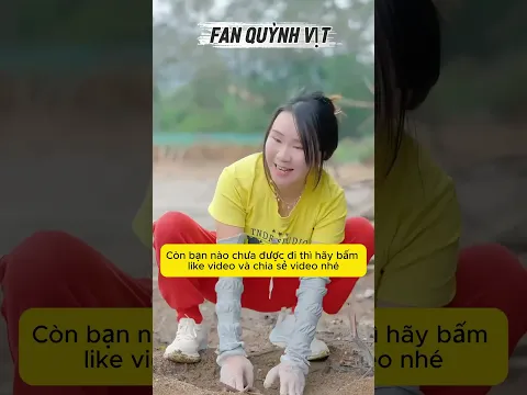 Món Quà Của Thủy Triều  #shortvideo #shorts #pets #dongvat  #animals