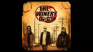 Download The Winery Dogs - Fooled Around And Fell In Love (original) MP3