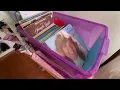 I Bought Amazon Returns + Found Rare Movie Promo After Thrifting!