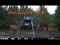 2024 Spypoint Flex-M footage