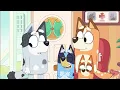 Bluey FULL EPISODE | Muffin Has to Wear a Cone of Shame! 🥺 | @disneyjr