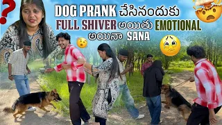 Dog Prank చేసినందుకు Full Shiver  అయితు  Emotional అయినా Sana@rishi_stylish_official 