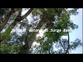 Download Lagu SELAMAT DATANG DI SURGA KAMI SUPERIOTS (Cover by: Supperiots)