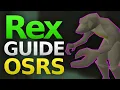 OSRS Dagannoth Rex Guide Solo Strategy