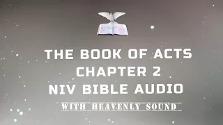 THE BOOK OF ACTS 2 NIV BIBLE WITH HEAVENLY SOUND