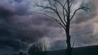 رضا صادقی گمونم یه روزی دلم پای عشقت بمیره 