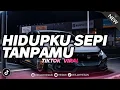 Download Lagu DJ HIDUPKU SEPI TANPAMU - NEW SYCLON REMIX TIKTOK VIRAL FULL BASS (HESAN)
