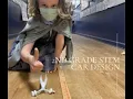 STEM Challenge for 2nd Graders