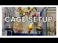 HOW TO SET UP YOUR PARROT S CAGE Parrot Cage Setup