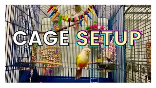 HOW TO SET UP YOUR PARROT S CAGE Parrot Cage Setup
