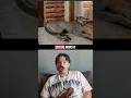 Download Lagu nothing could’ve prepared me😳 #zillow #realestate #taxidermy #shorts #reaction #shocking #housetour
