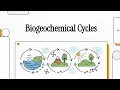 Biogeochemical Cycles Explained Water Carbon Nitrogen Phosphorus Cycles