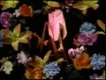 Download Lagu Sonic Youth - Tunic (Song For Karen)
