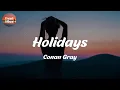 Download Lagu Conan Gray - Holidays (Lyrics)