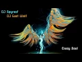 Download Lagu DJ Spyroof \u0026 DJ East Wolf - Crazy Soul