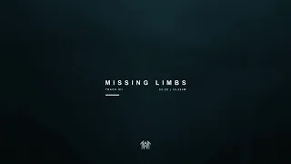 Sleep Token - Missing Limbs Visualiser