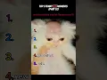 Download Lagu top 5 funny cat moments!!!😂😂😂
