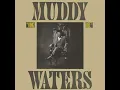 Champagne & Reefer - Muddy Waters